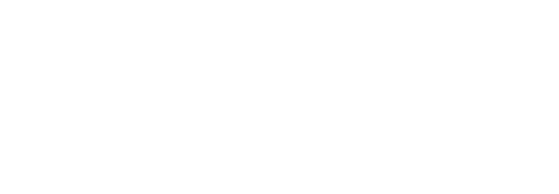 Brave Guard